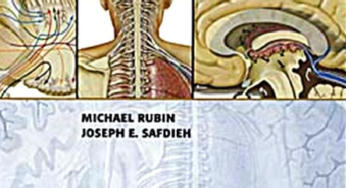 NEUROANATOMÍA ESENCIAL NETTER